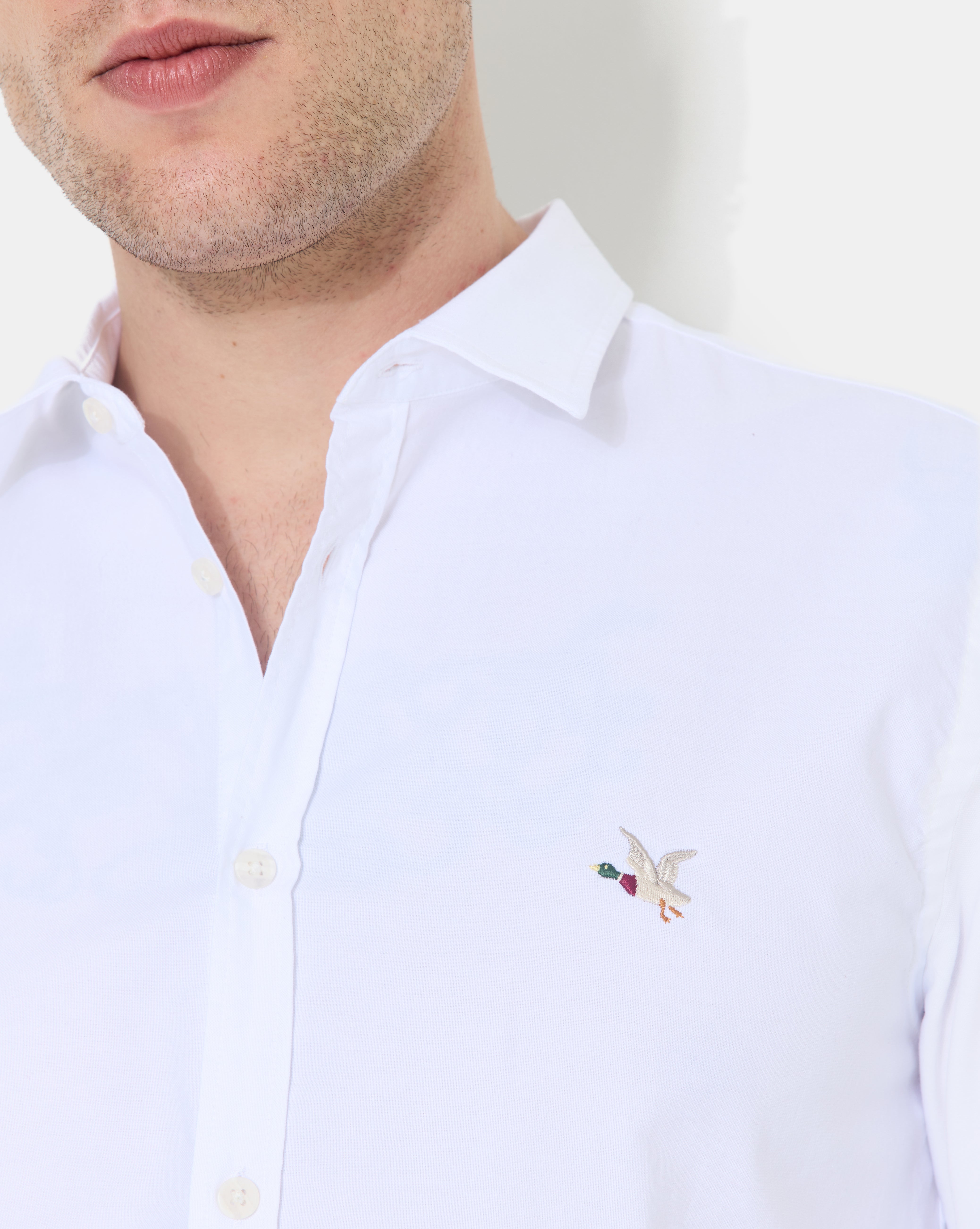 CHEMISE DOX BLANC